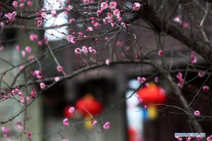 #CHINA-CHONGQING-FESTIVAL DECORATION (CN)