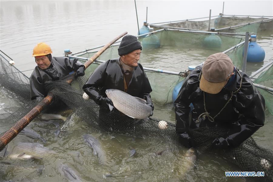 #CHINA-JIANGSU-FISHING (CN)