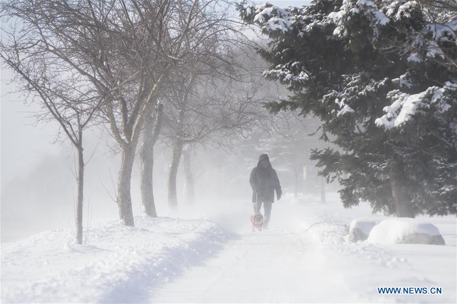 CANADA-TORONTO-SNOWFALL