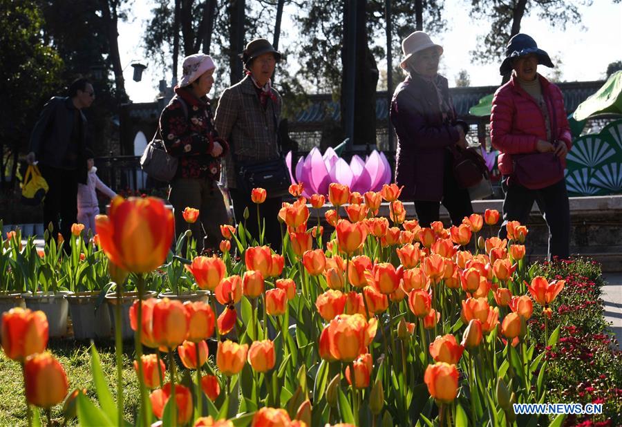 CHINA-KUNMING-FLOWERS (CN)