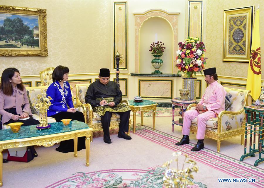 BRUNEI-BANDAR SERI BEGAWAN-SULTAN-CHINESE AMBASSADOR-NEW YEAR GREETING