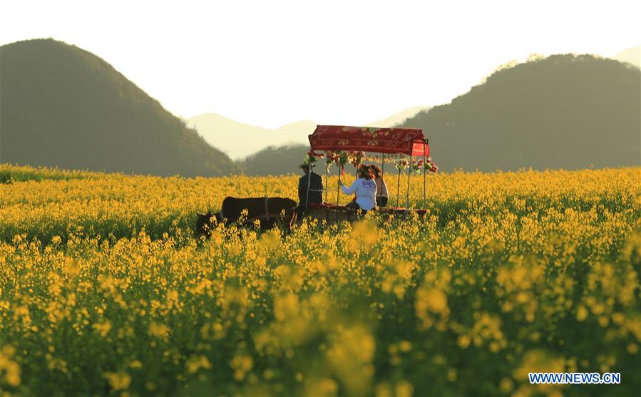 #CHINA-SPRING FESTIVAL-LANDSCAPE (CN)