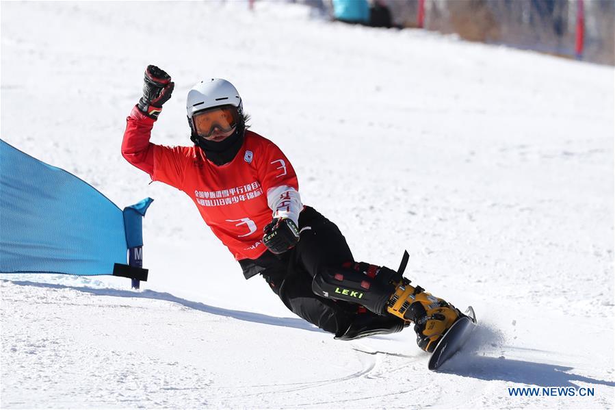 (SP)CHINA-ZHANGJIAKOU-SNOWBOARD-ASIAN CUP(CN)