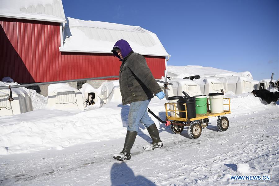 Xinhua Headlines: Wisconsin soy farmers long for expanding exports to China after tough year