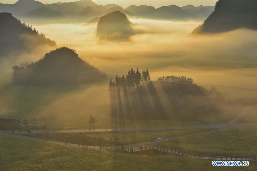 CHINA-YUNNAN-LUOPING-COLE FLOWERS (CN)