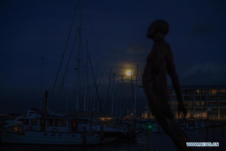 NEW ZEALAND-WELLINGTON-FULL MOON