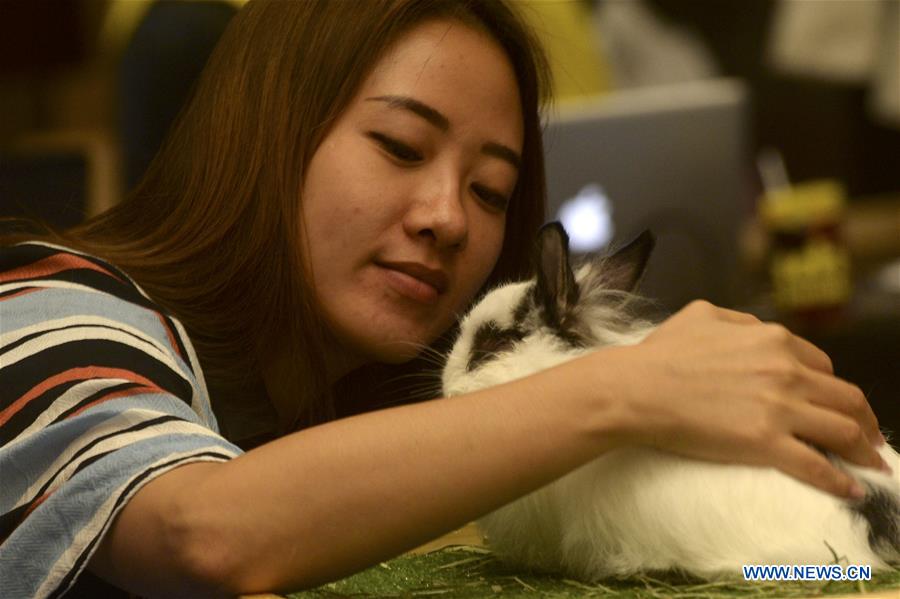 INDONESIA-JAKARTA-PET SHOW