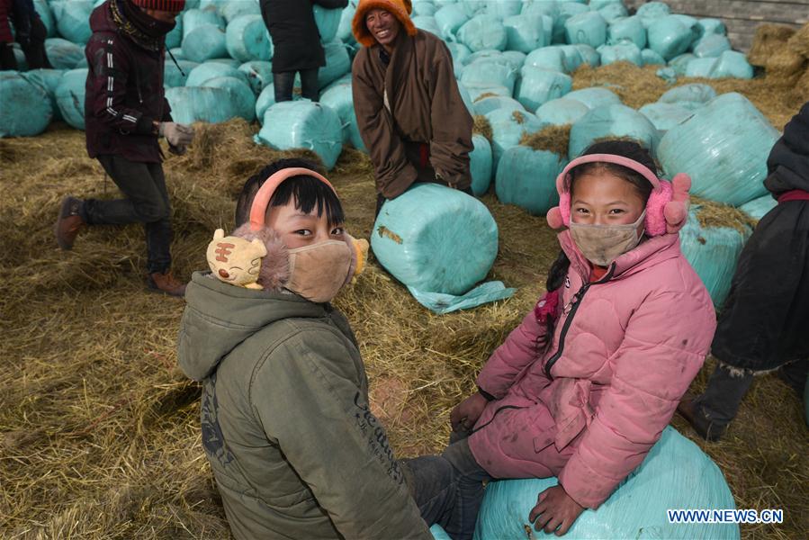 CHINA-QINGHAI-YUSHU-BLIZZARD (CN)