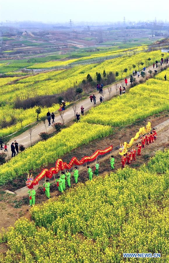 CHINA-SHAANXI-HANZHONG-COLE FLOWERS (CN)