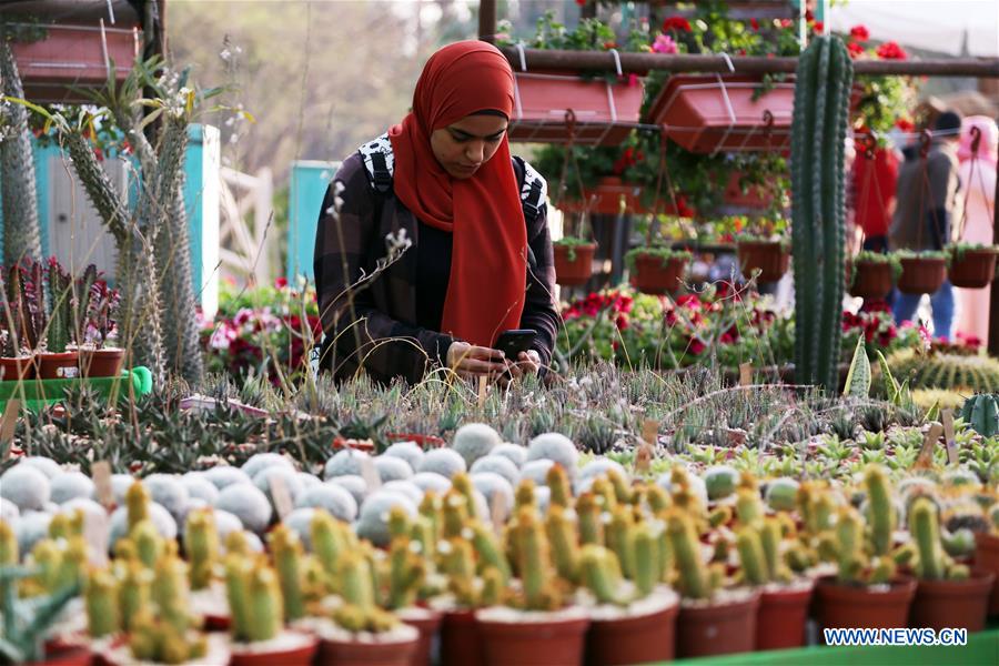 EGYPT-GIZA-FLOWER EXHIBITION