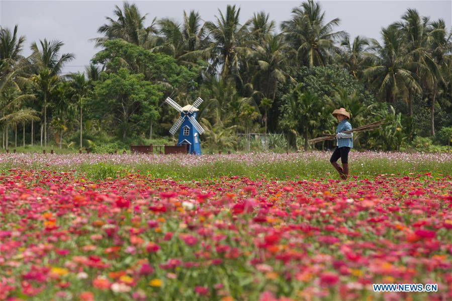 CHINA-BOAO-VILLAGE-SPRING SCENERY (CN)