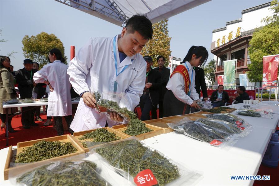 #CHINA-ANHUI-HUANGSHAN-TEA COMPETITION (CN)