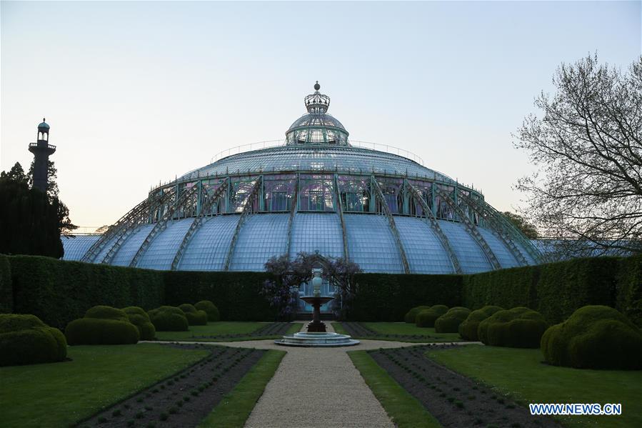 BELGIUM-BRUSSELS-ROYAL GREENHOUSES