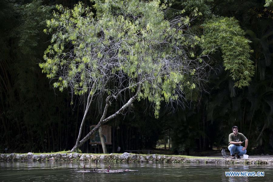 BRAZIL-RIO DE JANEIRO-BOTANICAL GARDEN