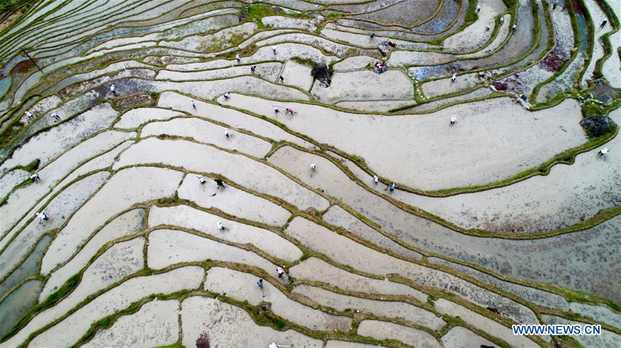 #CHINA-GUANGXI-TERRACED FIELD-FARMING (CN)