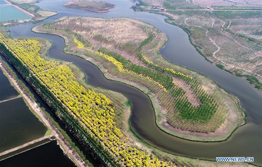 CHINA-TIANJIN-COUNTRY PARKS (CN)