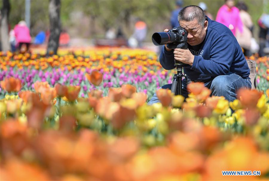 CHINA-CHANGCHUN-BEGINNING OF SUMMER-FLOWER (CN)