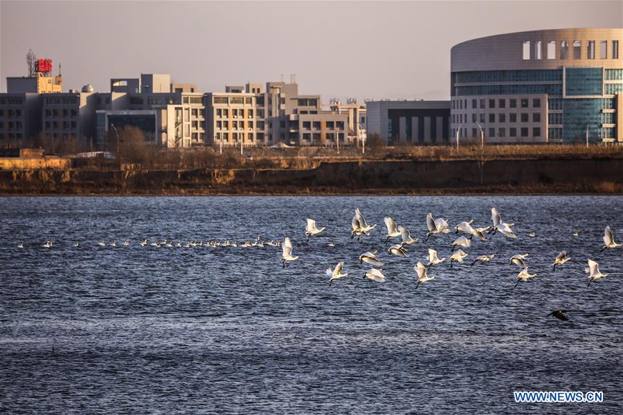 CHINA-SHANXI-XIAOYI-XIAOHE NATIONAL WETLAND PARK (CN)