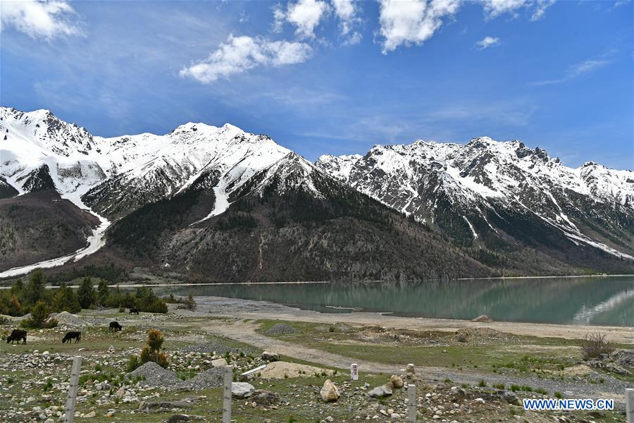 CHINA-TIBET-QAMDO-RA'OG LAKE-SCENERY (CN)