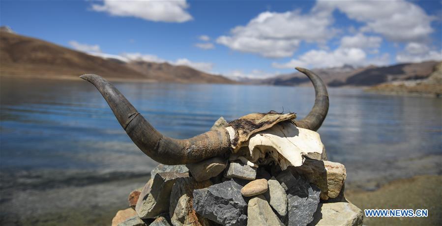 CHINA-TIBET-YAMZBOG YUMCO LAKE-SCENERY (CN)