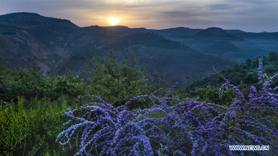 CHINA-SHAANXI-YAN'AN-SCENERY (CN)