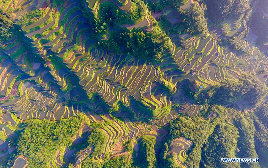 CHINA-GUANGXI-RONGSHUI-MORNING SCENERY(CN)