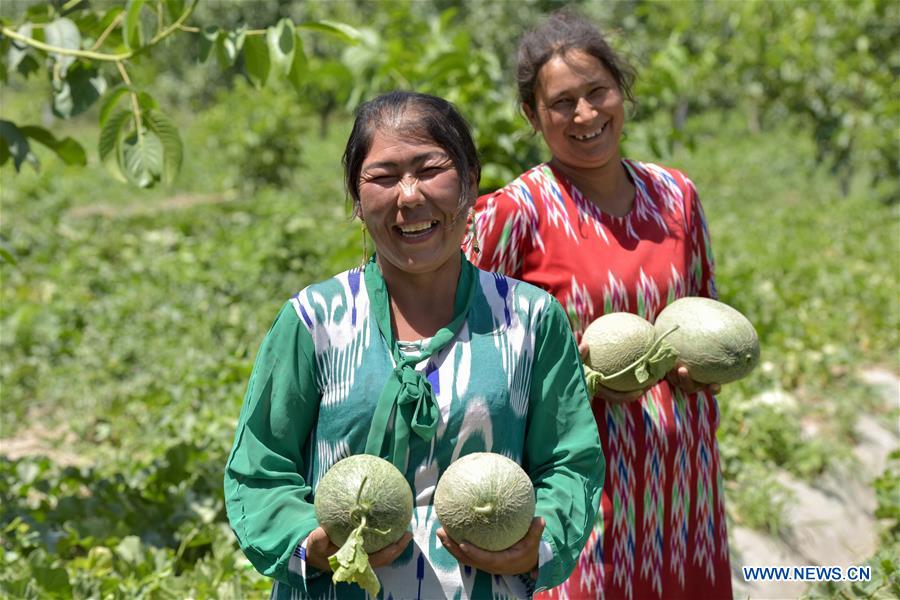 CHINA-XINJIANG-BACHU-MELONS (CN)