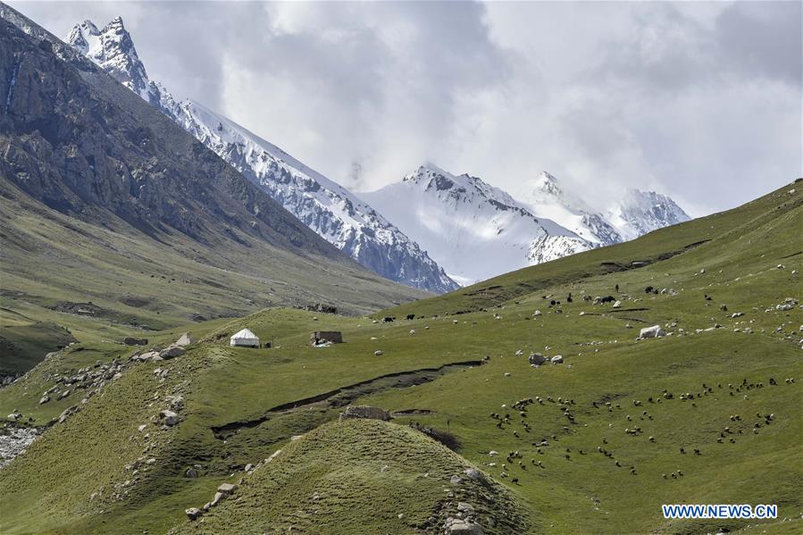 CHINA-XINJIANG-TAXKORGAN-PASTURE-SCENERY (CN)