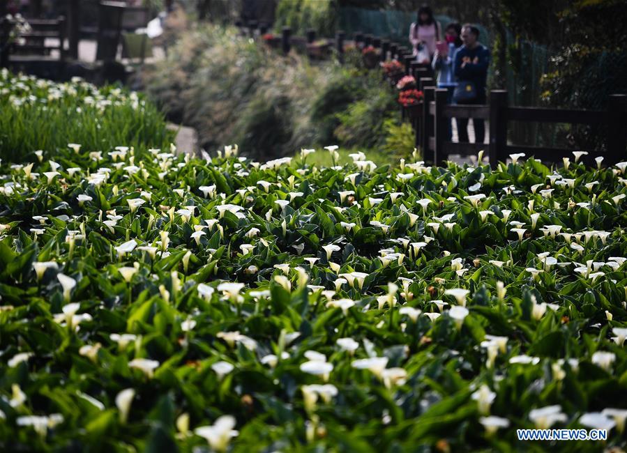 (EcoChina)CHINA-BEIJING-HORTICULTURAL EXPO-TAIWAN (CN)