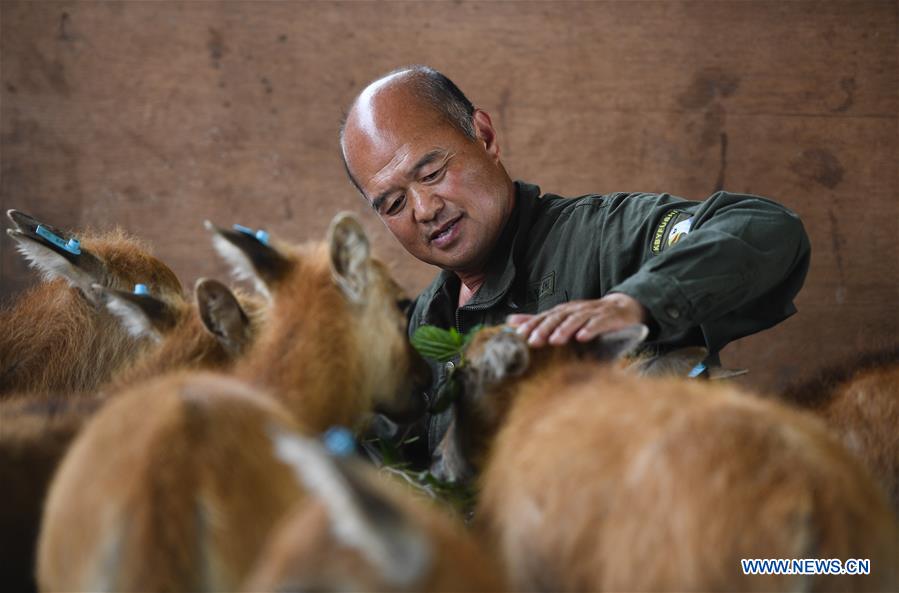 CHINA-JIANGSU-MILU NATIONAL NATURE RESERVE-POPULATION-GROWTH (CN)