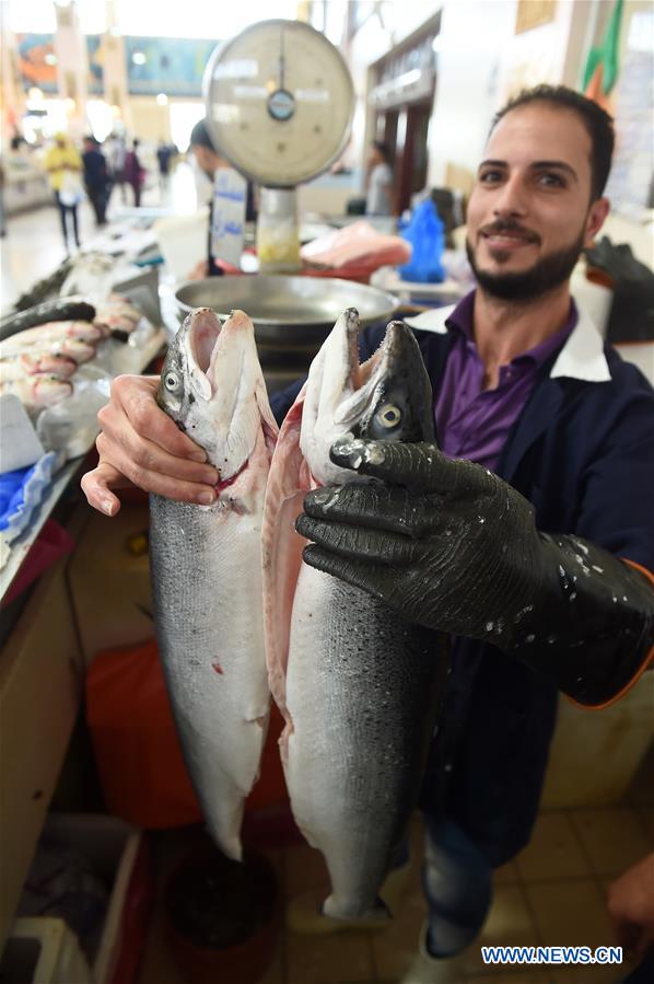 KUWAIT-KUWAIT CITY-FISH MARKET