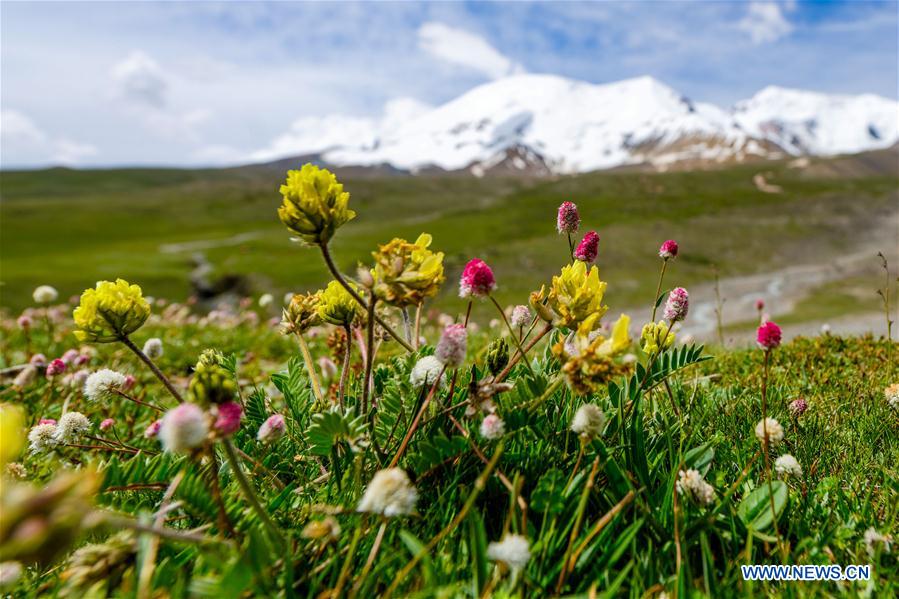 CHINA-QINGHAI-AMNE MACHIN PEAK-SCENERY (CN)