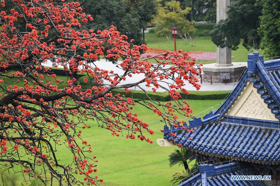 (EcoChina)CHINA-HORTICULTURAL EXPO-GUANGDONG (CN)