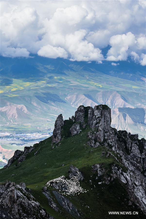 CHINA-QINGHAI-QILIAN-SCENERY (CN)