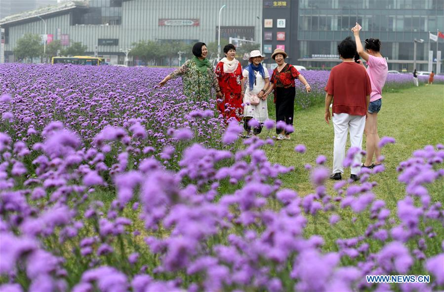 CHINA-TIANJIN-FLOWER-TOURISM (CN)