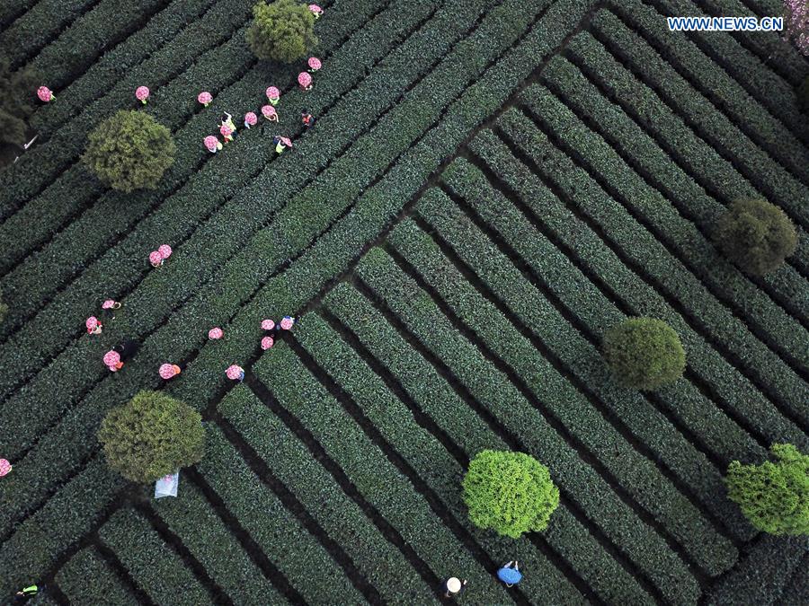 (EcoChina)CHINA-HORTICULTURAL EXPO-GUIZHOU (CN)