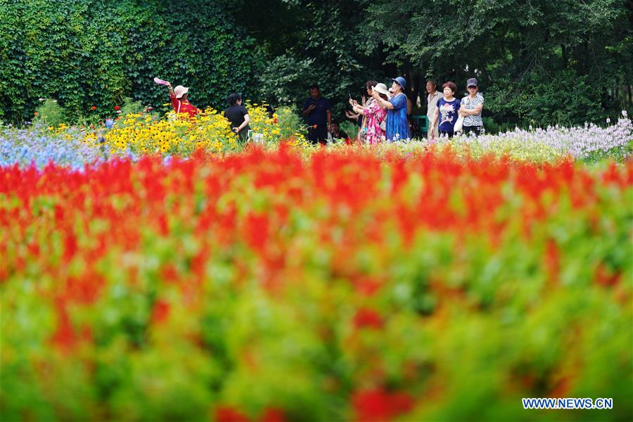 CHINA-HEILONGJIANG-HARBIN-SUN ISLAND-SCENERY (CN)