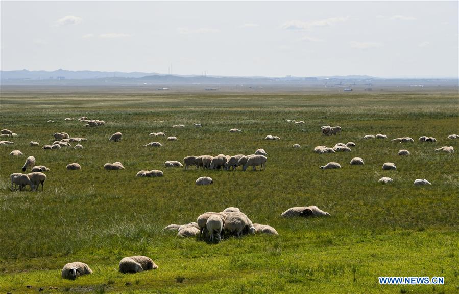 CHINA-INNER MONGOLIA-XILINGOL-GRASSLAND (CN)