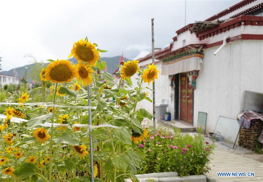 (InTibet)CHINA-TIBET-POVERTY ALLEVIATION (CN)