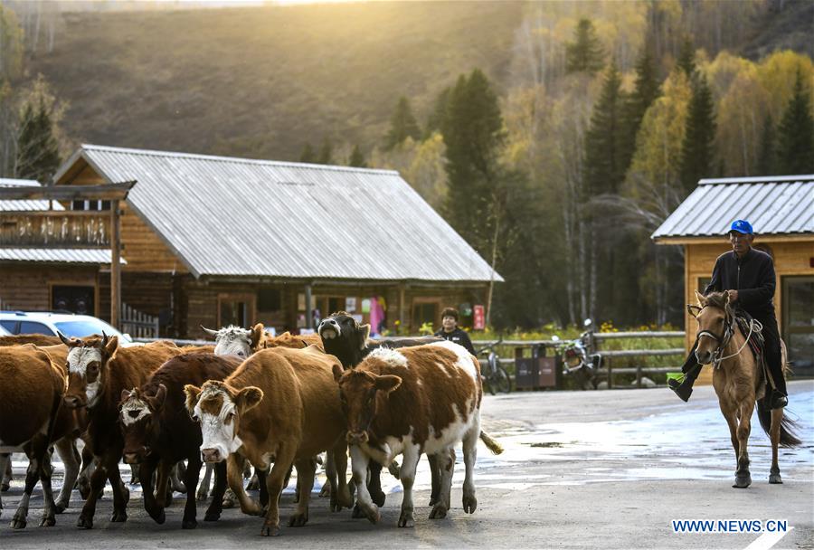 CHINA-XINJIANG-TOURISM-SCENERY (CN)