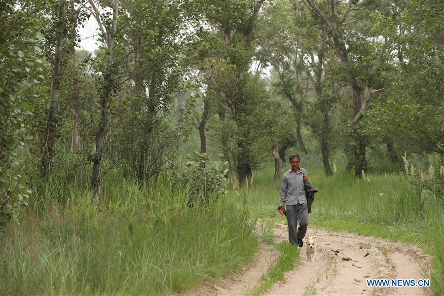 CHINA-LIAONING-FUXIN-FOREST PROTECTION (CN)