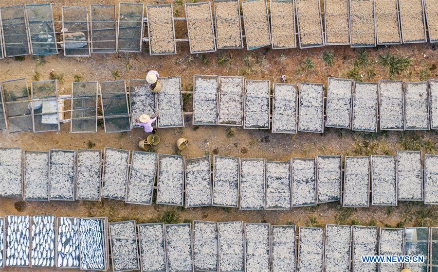 CHINA-JIANGXI-DRIED FISH (CN)