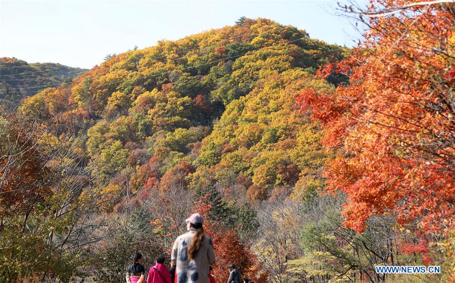 CHINA-LIAONING-AUTUMN SCENERY (CN)