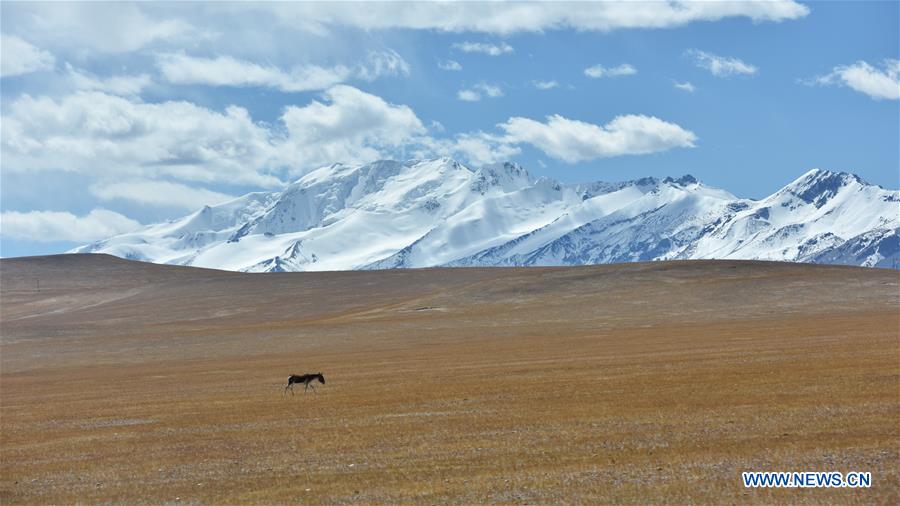 CHINA-TIBET-SNOW MOUNTAIN (CN)