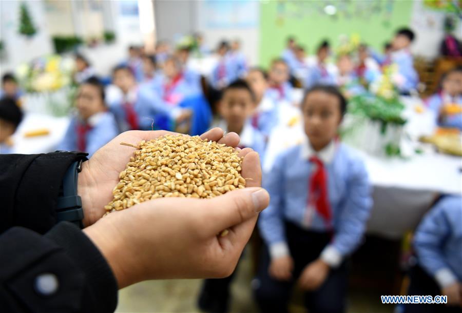 #CHINA-HEBEI-WORLD FOOD DAY (CN)