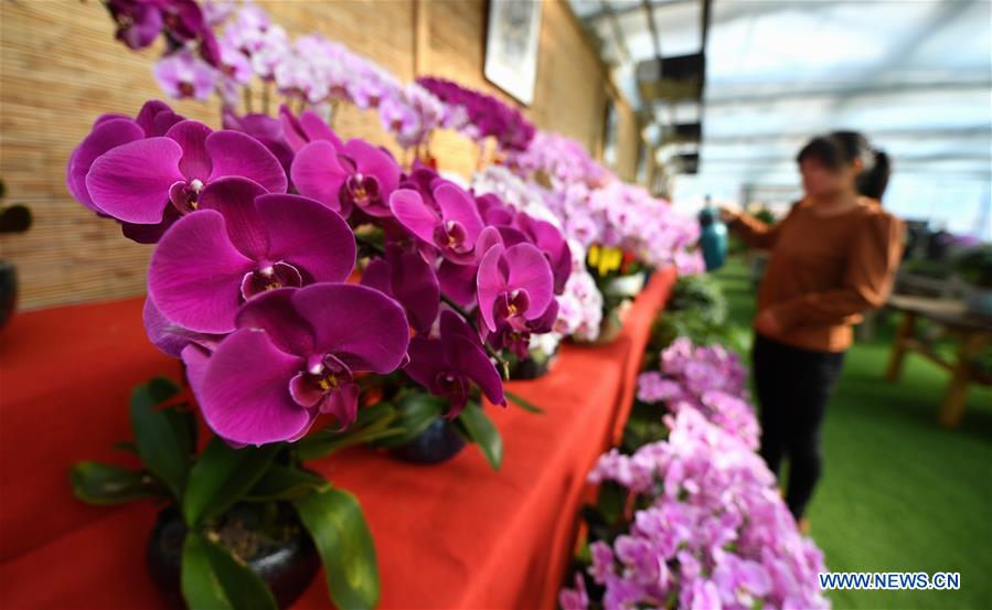 CHINA-HEBEI-GU'AN-FLOWER ECONOMY (CN)