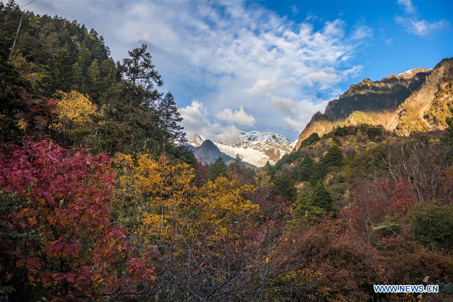 CHINA-YUNNAN-DEQEN-YUBENG VILLAGE-SCENERY (CN)