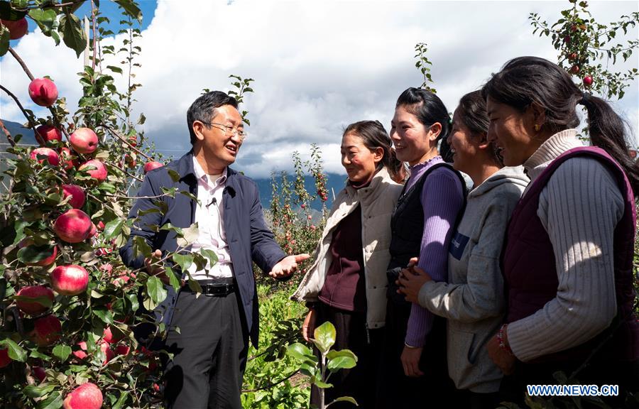 (InTibet) CHINA-TIBET-NYINGCHI-APPLE CULTIVATION PROFESSOR (CN) 