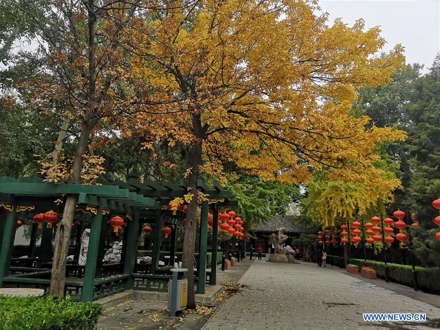 (BeijingCandid)CHINA-BEIJING-AUTUMN (CN)