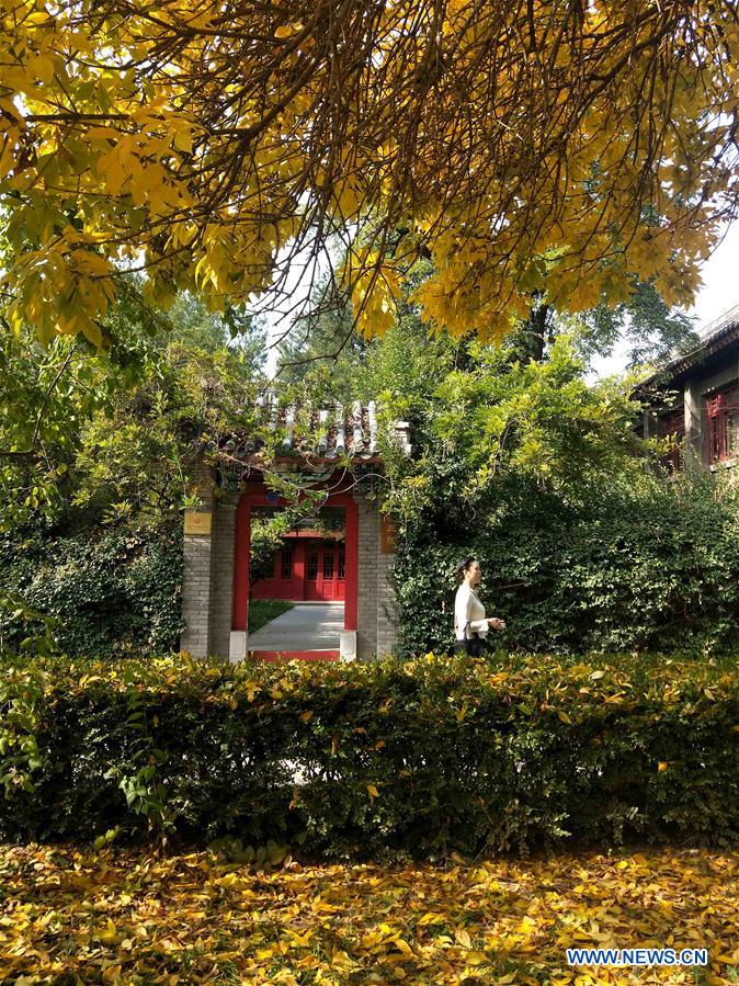 (BeijingCandid)CHINA-BEIJING-AUTUMN (CN)